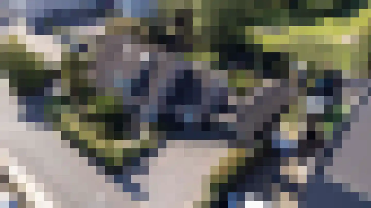 A. Vogelstraat 3 Elburg thumbnail 11
