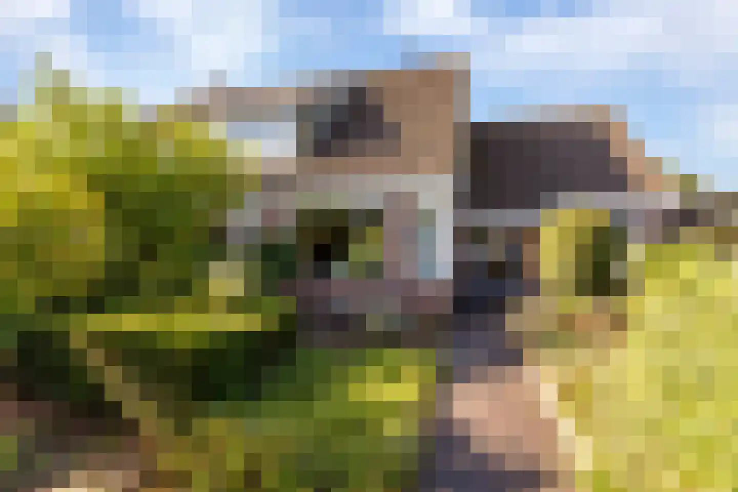 A. Vogelstraat 3 Elburg thumbnail 12