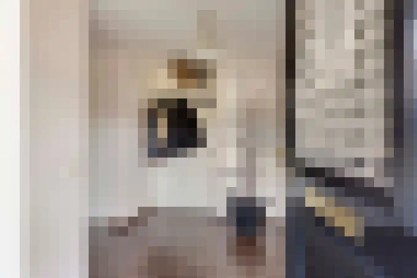 A. Vogelstraat 3 Elburg thumbnail 14