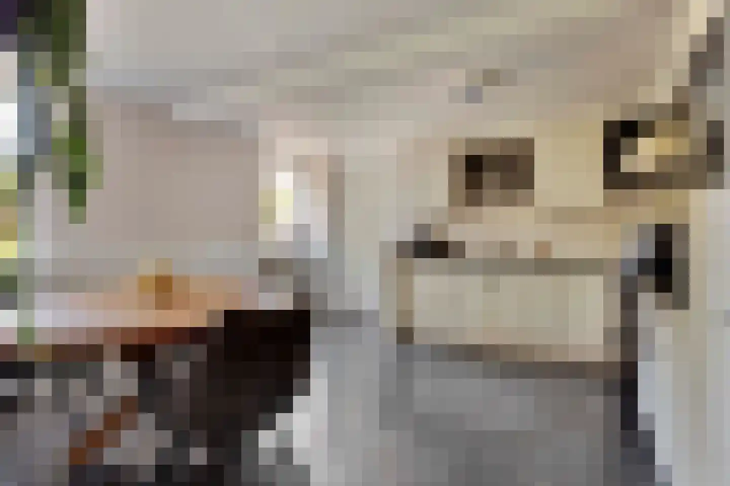 A. Vogelstraat 3 Elburg thumbnail 30