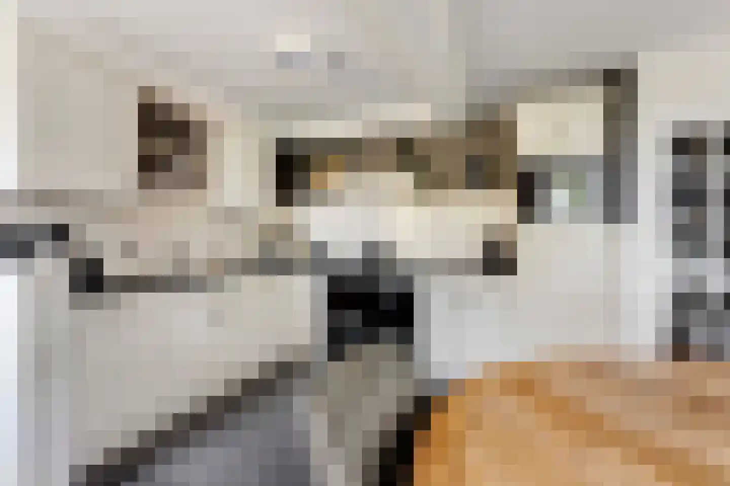 A. Vogelstraat 3 Elburg thumbnail 31