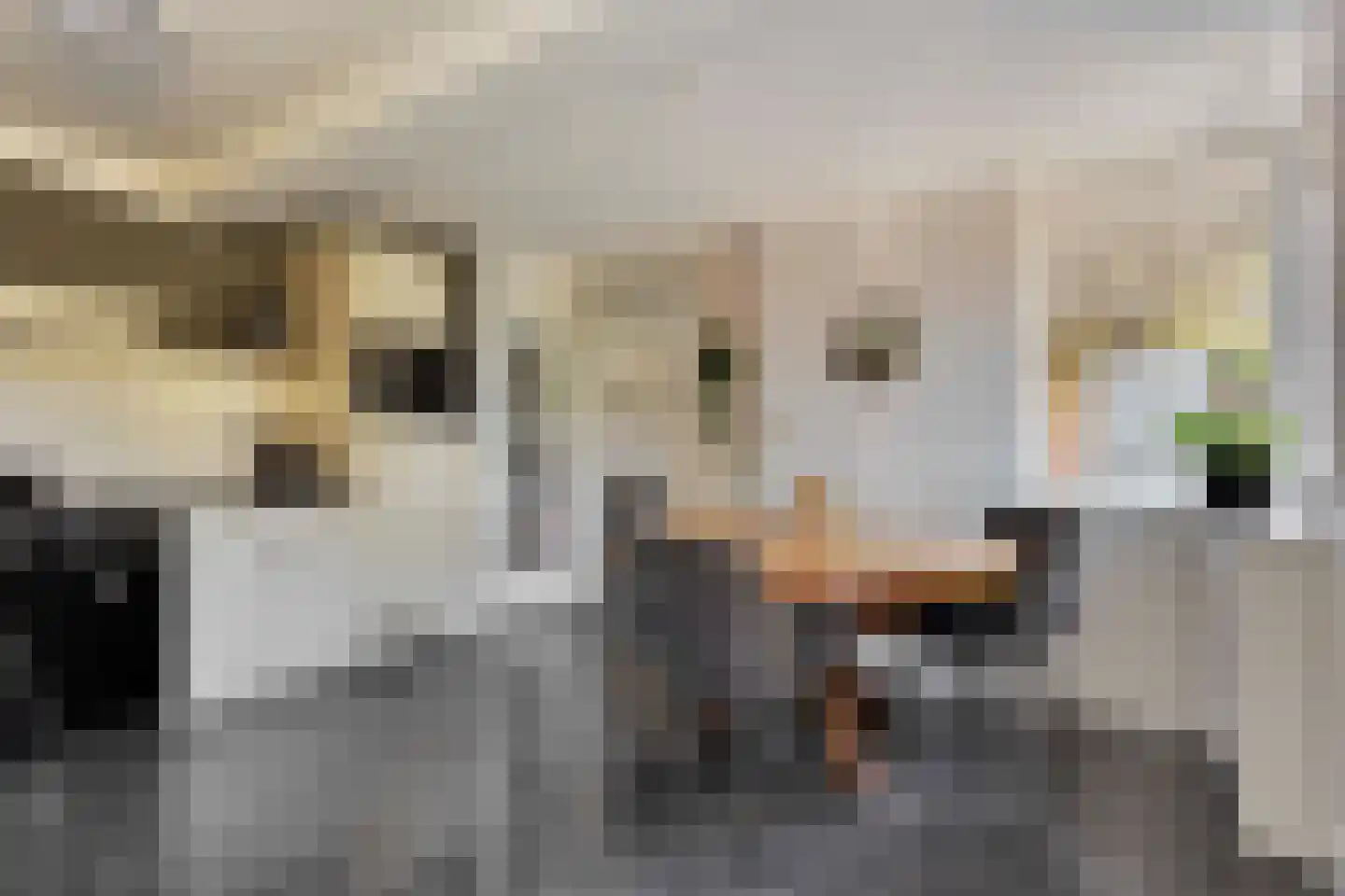 A. Vogelstraat 3 Elburg thumbnail 32