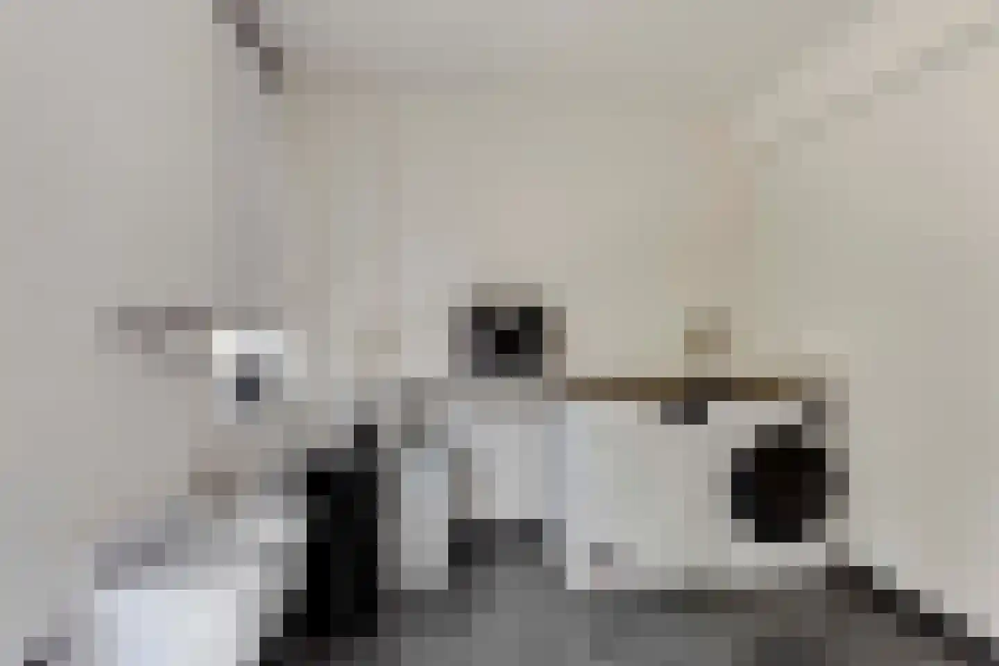 A. Vogelstraat 3 Elburg thumbnail 34
