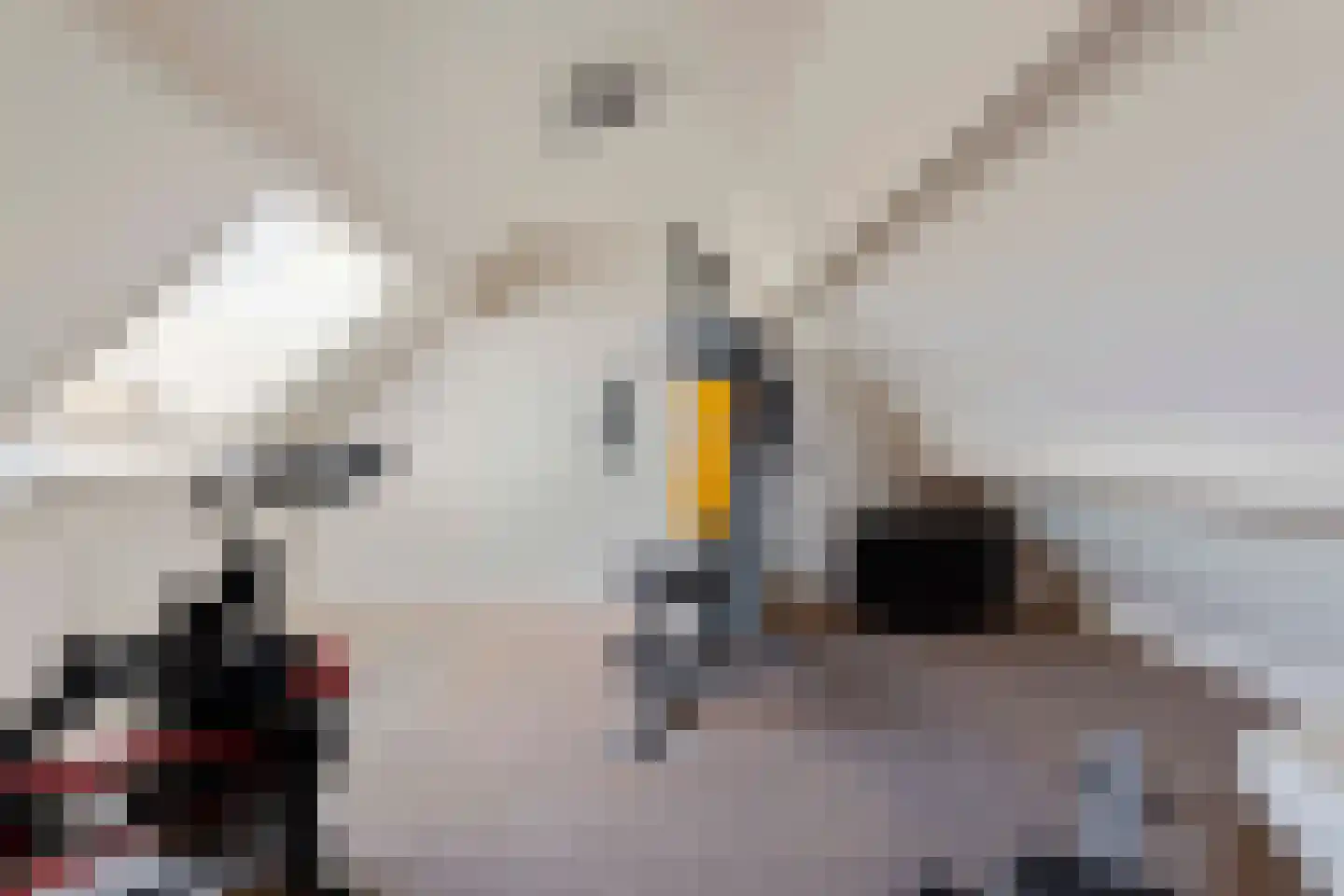 A. Vogelstraat 3 Elburg thumbnail 58