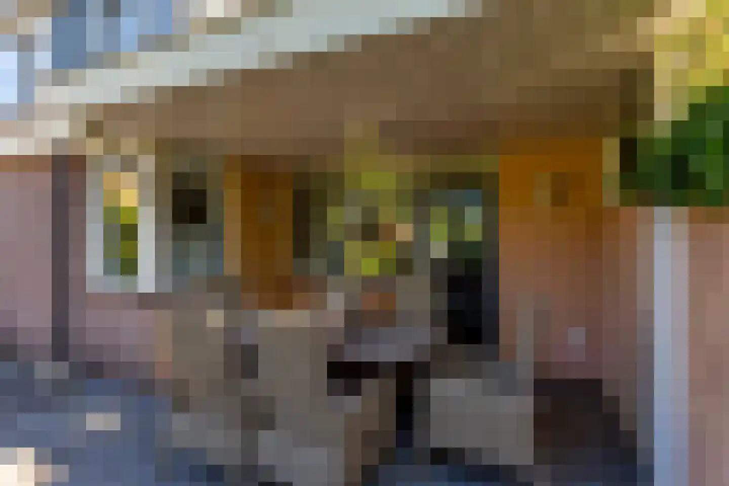 A. Vogelstraat 3 Elburg thumbnail 63