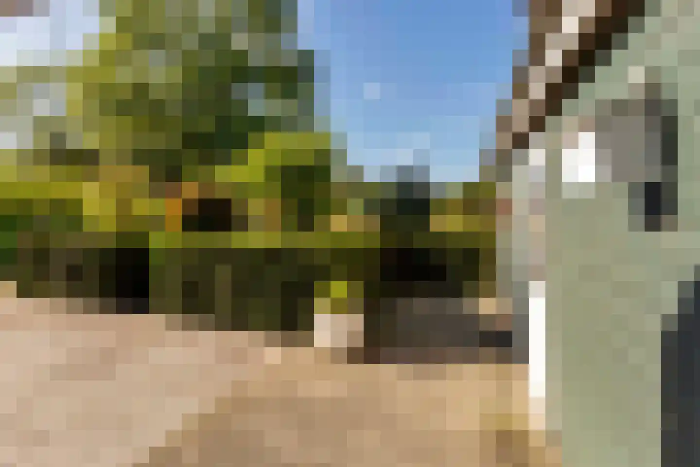 A. Vogelstraat 3 Elburg thumbnail 68