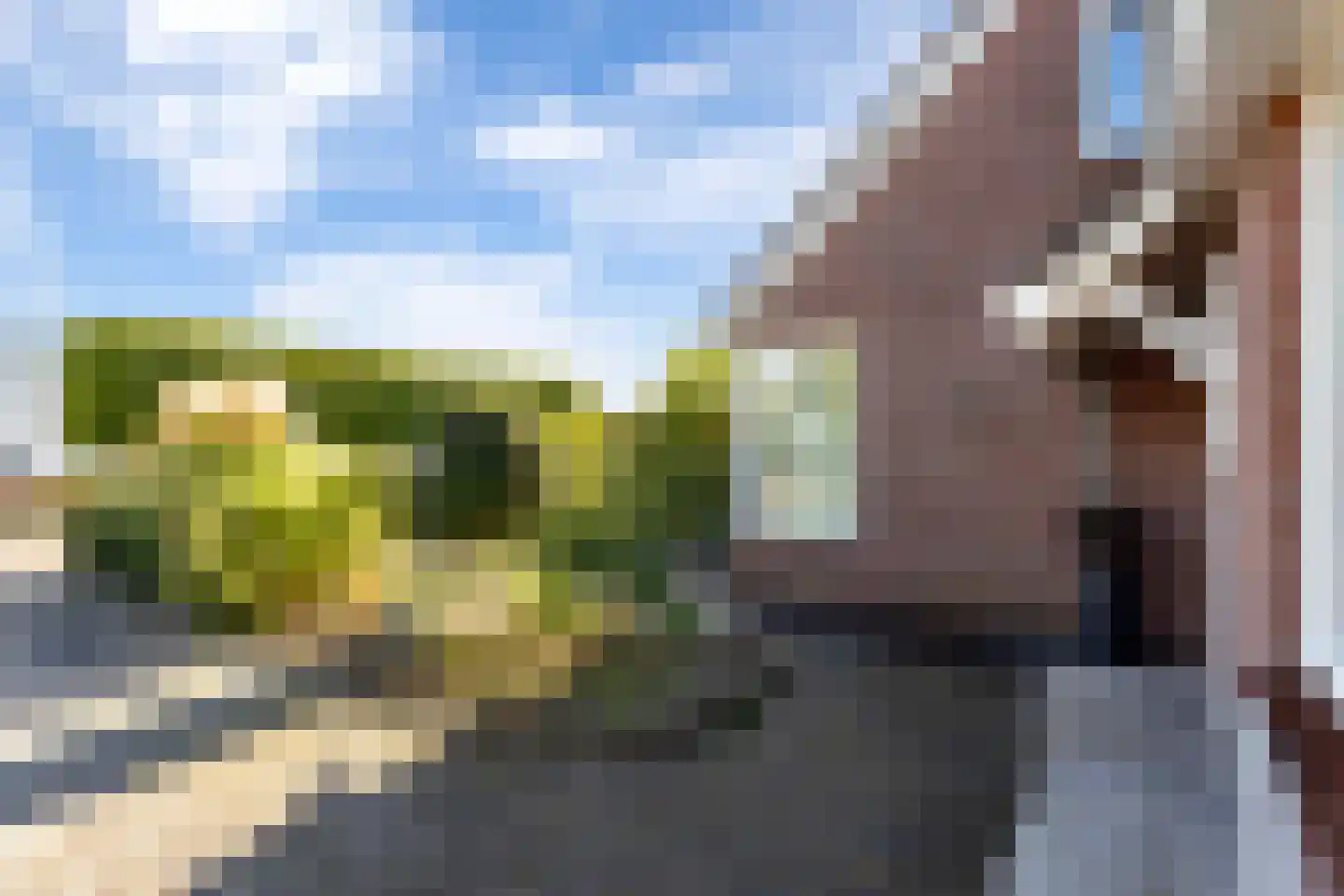 A. Vogelstraat 3 Elburg thumbnail 80