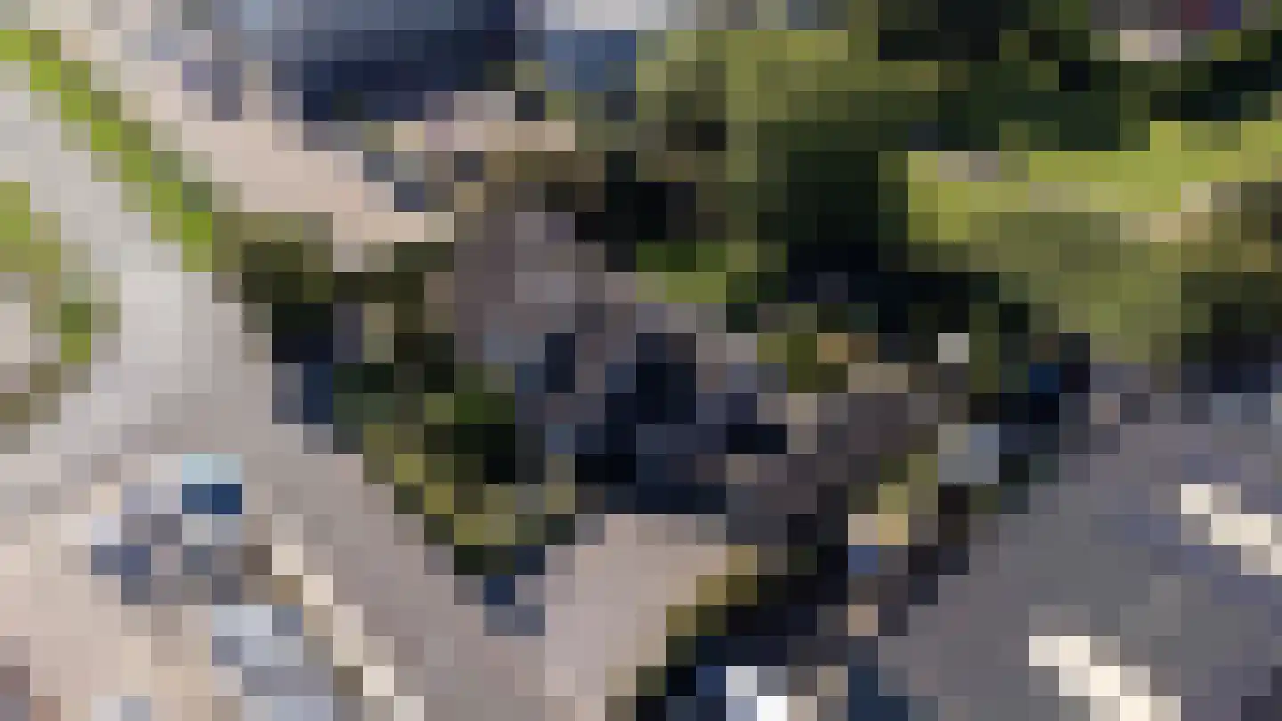 A. Vogelstraat 3 Elburg thumbnail 85