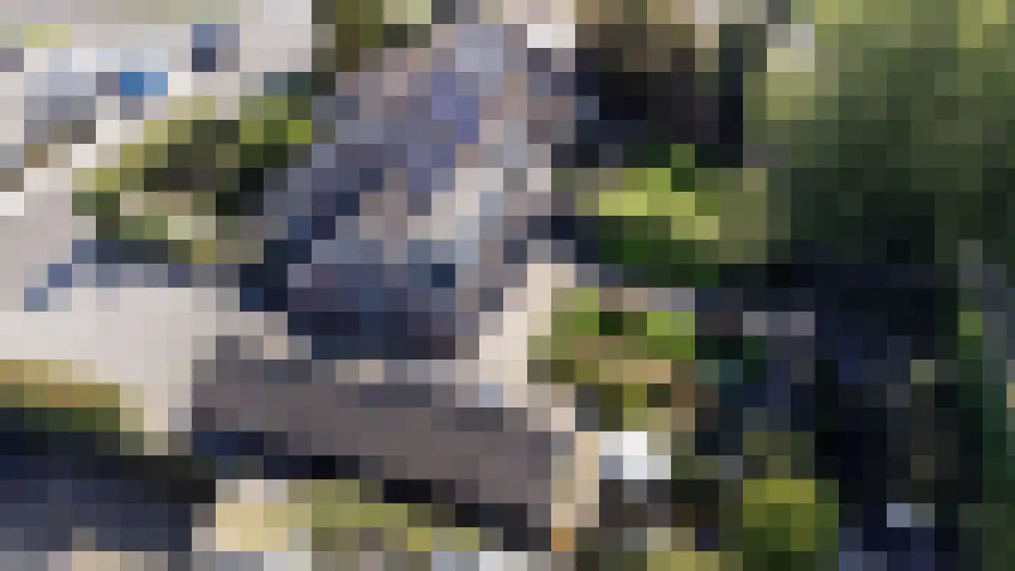 A. Vogelstraat 3 Elburg thumbnail 86