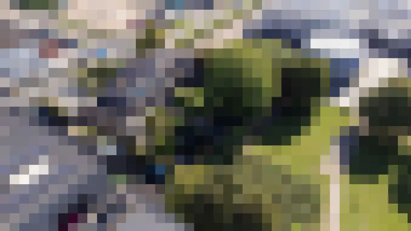 A. Vogelstraat 3 Elburg thumbnail 87