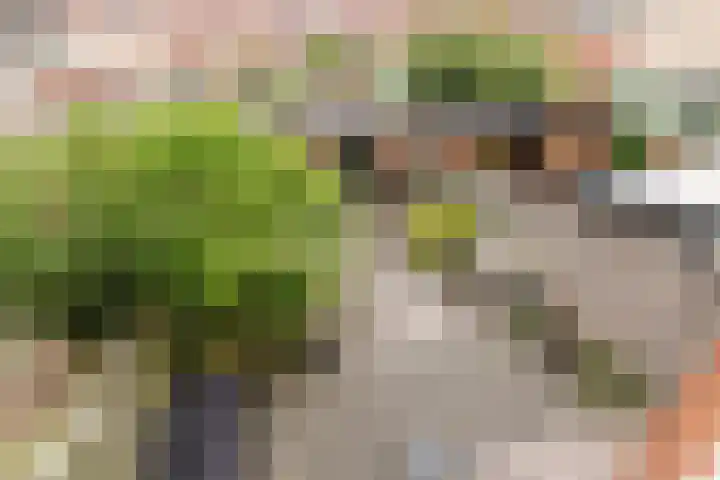 A. Vondelingstraat 52 Almere thumbnail 36