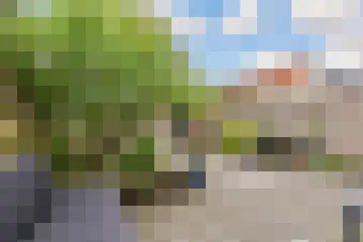 A. Vondelingstraat 52 Almere thumbnail 39