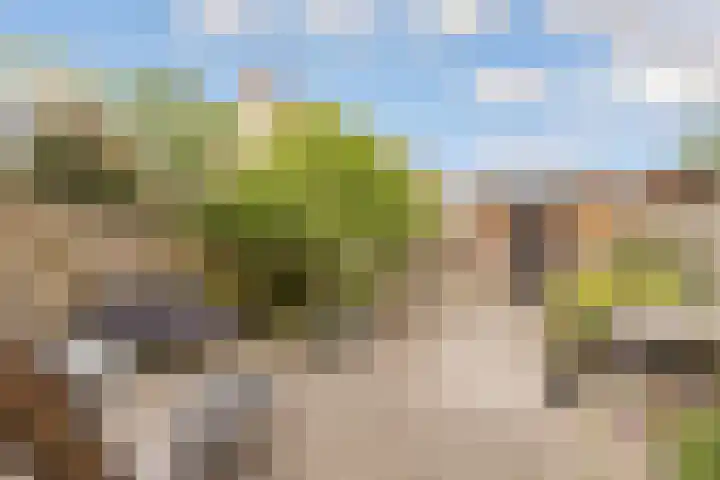 A. Vondelingstraat 52 Almere thumbnail 4
