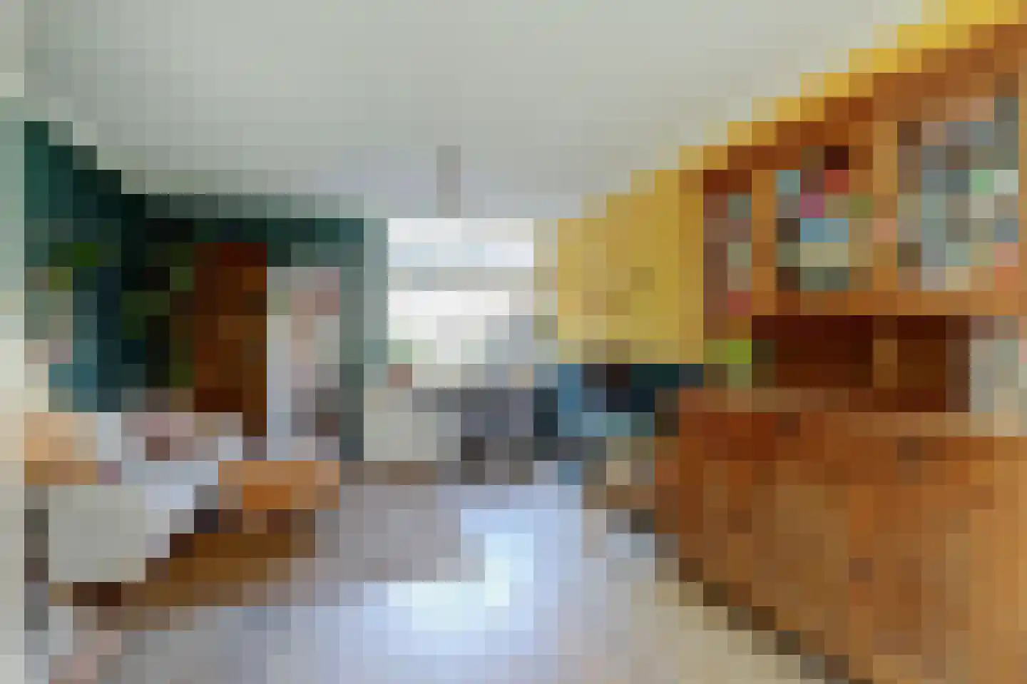 A.W. de Landgraafstraat 29 Sliedrecht thumbnail 7