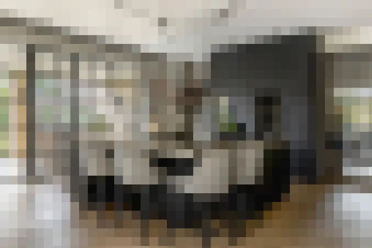 A.W. den Boerhof 2 Oudewater thumbnail 12