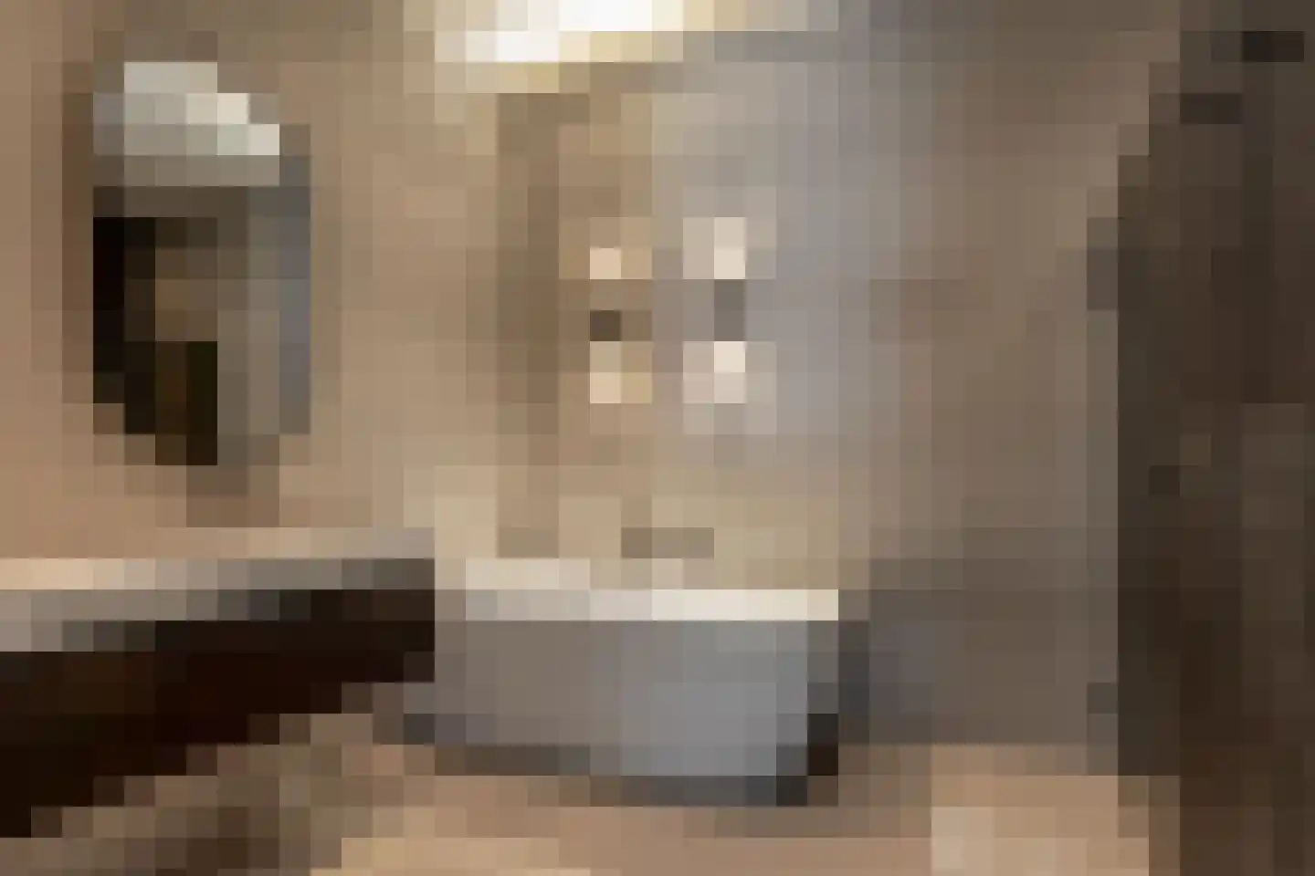 A.W. den Boerhof 2 Oudewater thumbnail 31