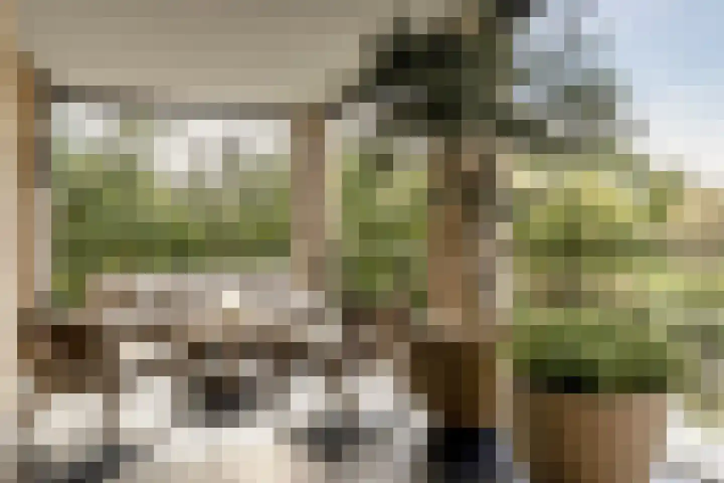 A.W. den Boerhof 2 Oudewater thumbnail 36