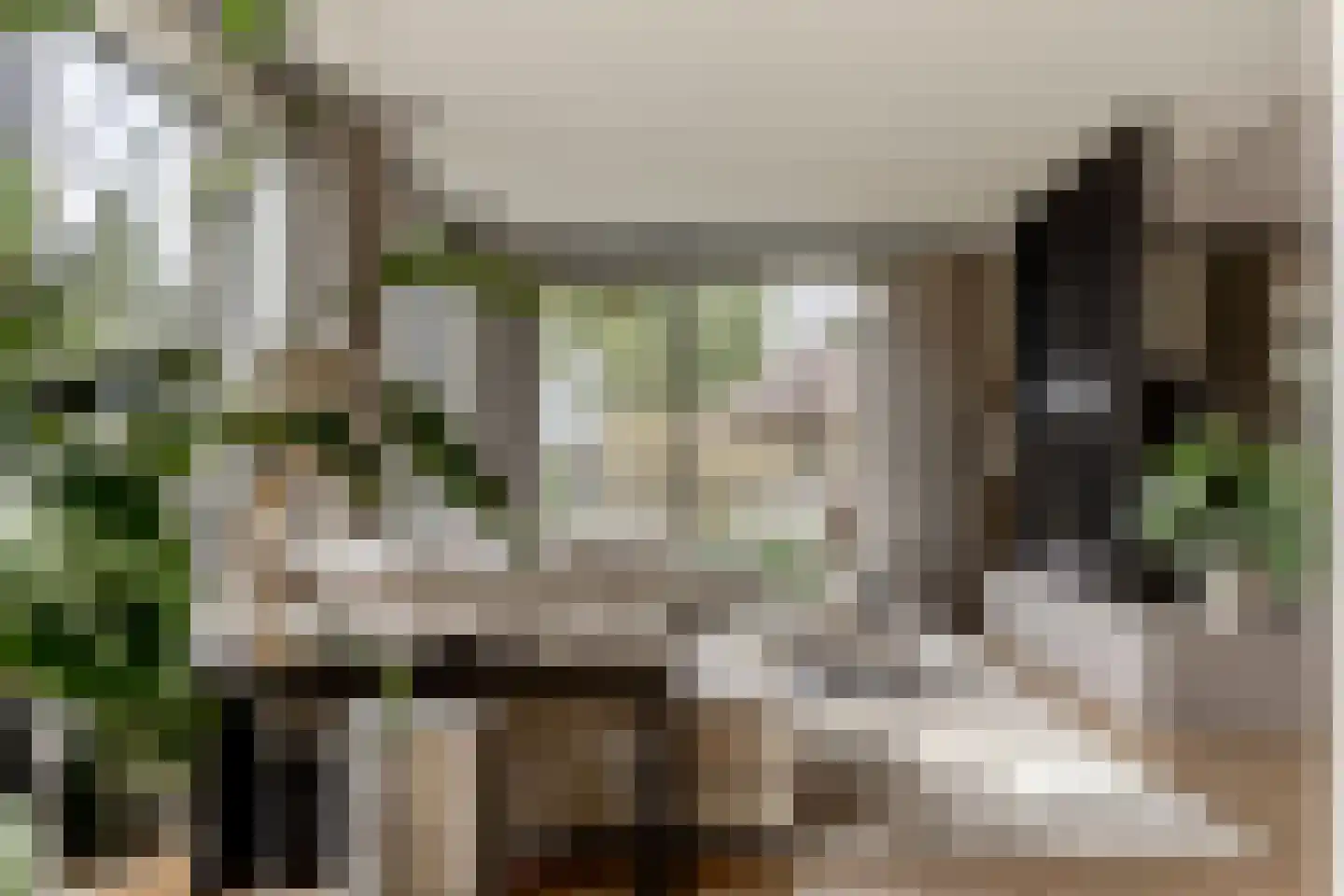 A.W. den Boerhof 2 Oudewater thumbnail 4