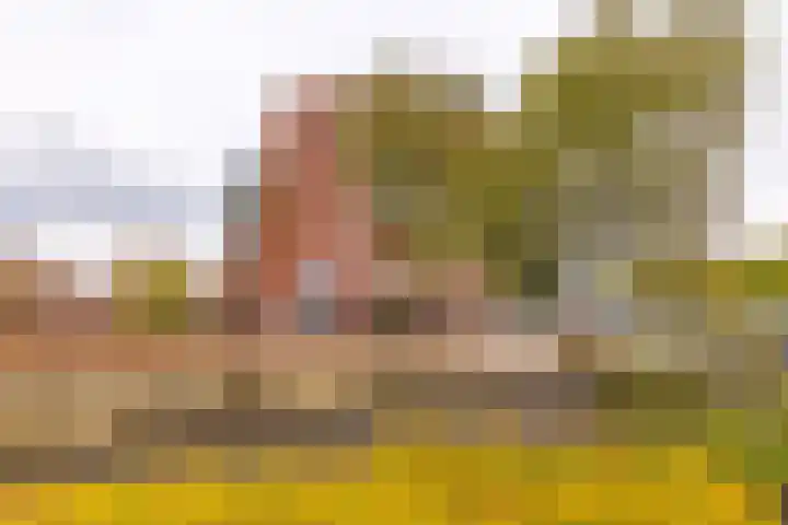 A-weg 10 18 Musselkanaal thumbnail 45