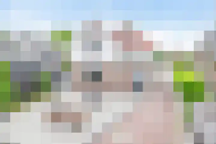 A-weg 6 Musselkanaal thumbnail 33