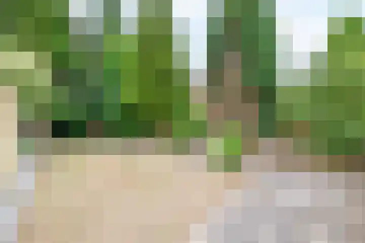 A-weg 6 Musselkanaal thumbnail 40