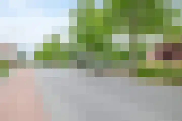 A-weg 6 Musselkanaal thumbnail 43