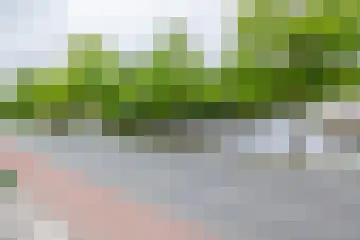 A-weg 6 Musselkanaal thumbnail 45