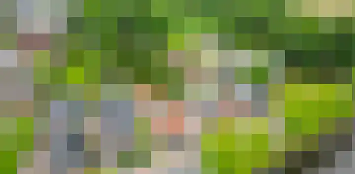 A-weg 6 Musselkanaal thumbnail 47
