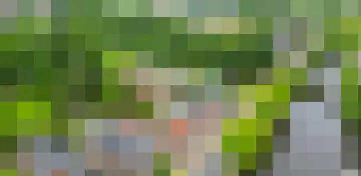 A-weg 6 Musselkanaal thumbnail 50