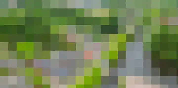 A-weg 6 Musselkanaal thumbnail 54
