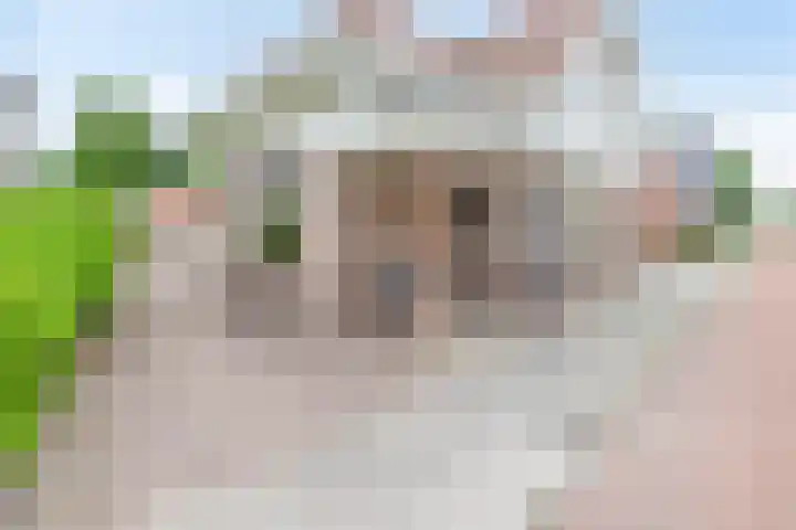 A-weg 6 Musselkanaal thumbnail 7