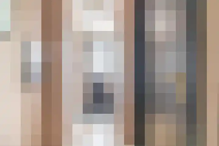 A-weg 6 Musselkanaal thumbnail 8