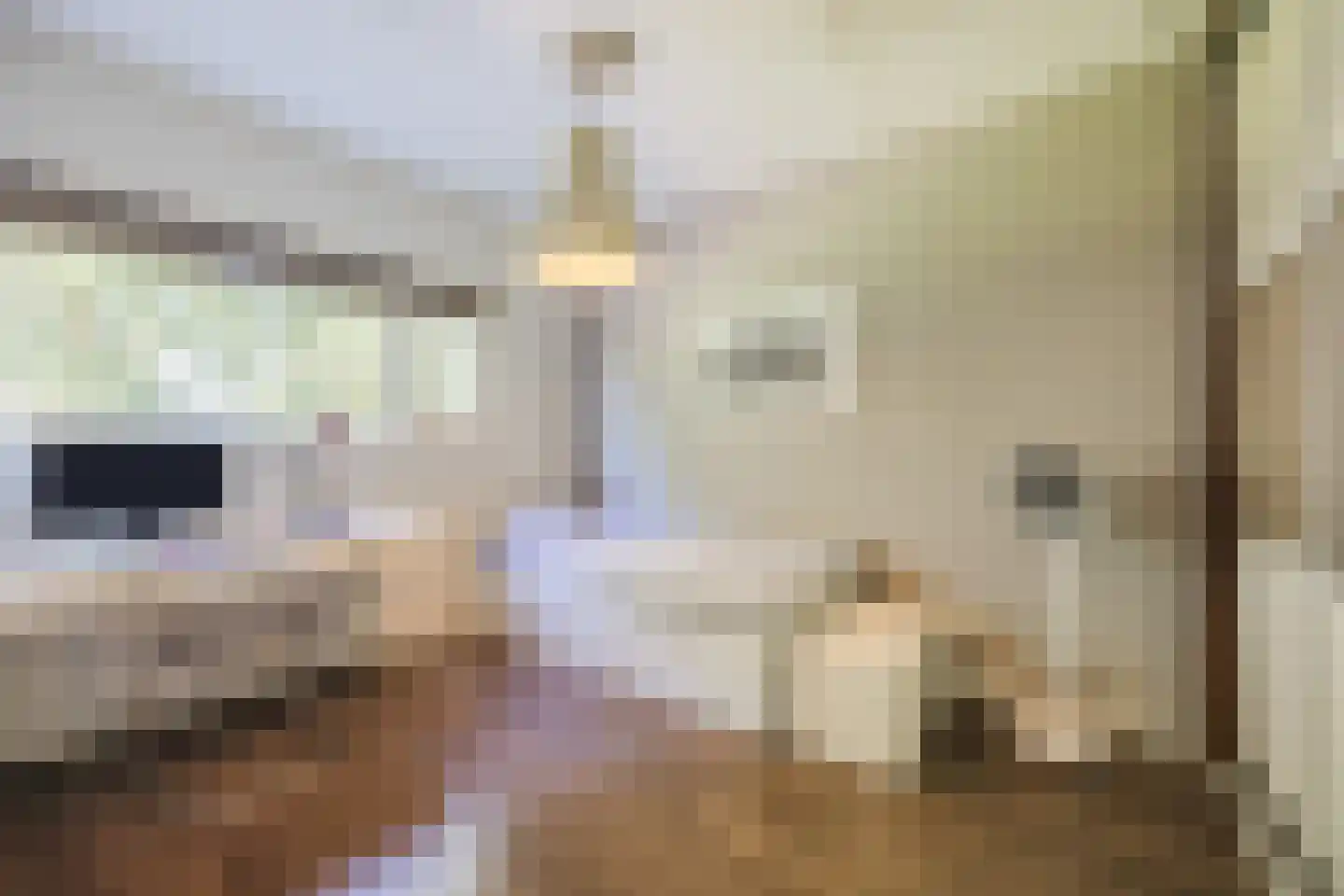 A.Weteringsstraat 18 Gilze thumbnail 26