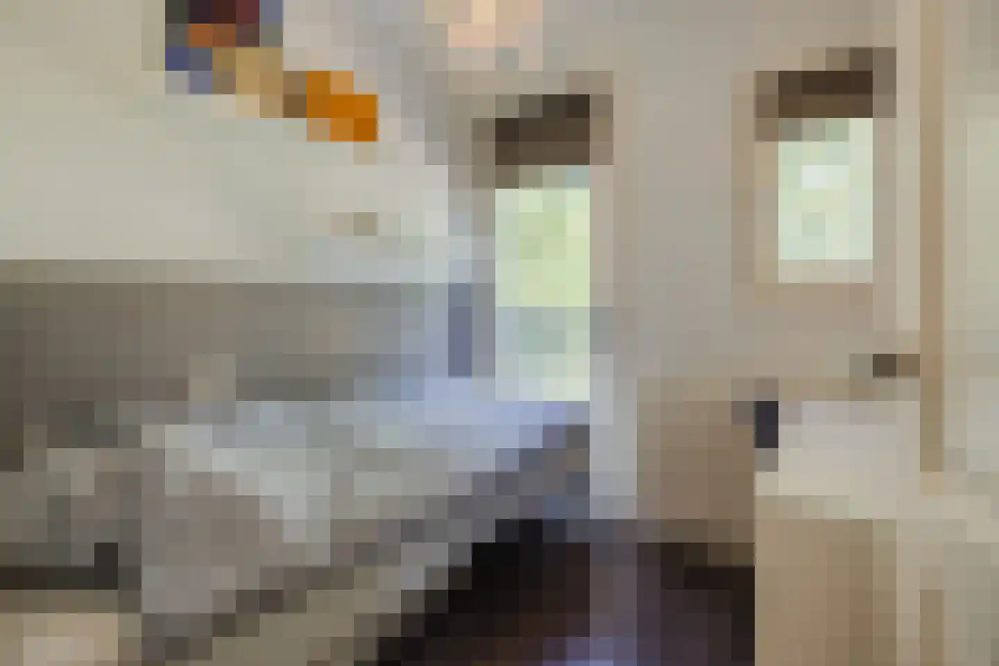 A.Weteringsstraat 18 Gilze thumbnail 29