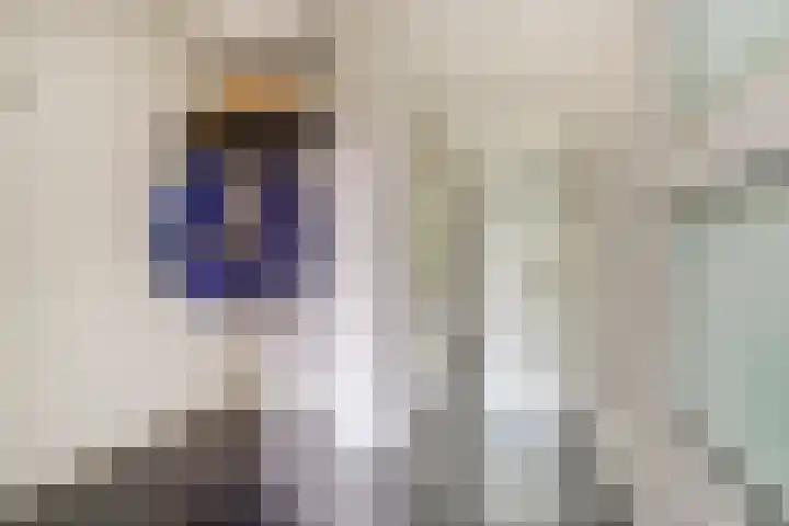 A.Weteringsstraat 3 Gilze thumbnail 10