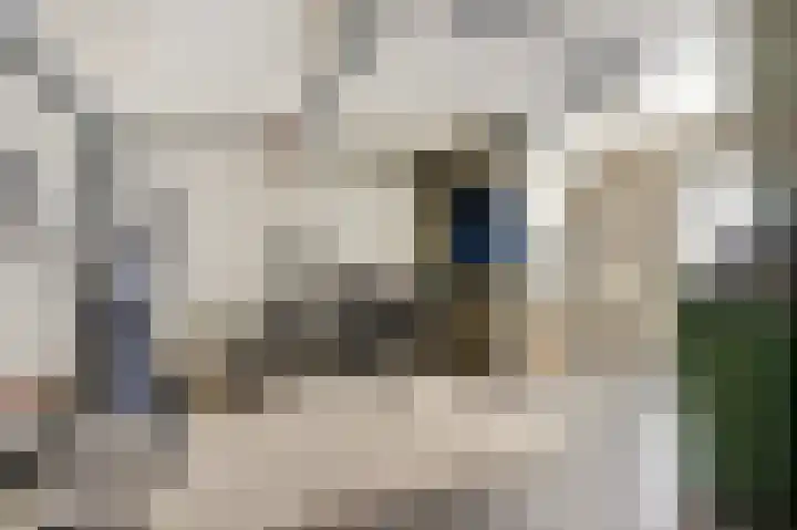A.Weteringsstraat 3 Gilze thumbnail 33