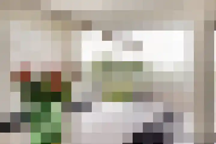 A.Weteringsstraat 3 Gilze thumbnail 5