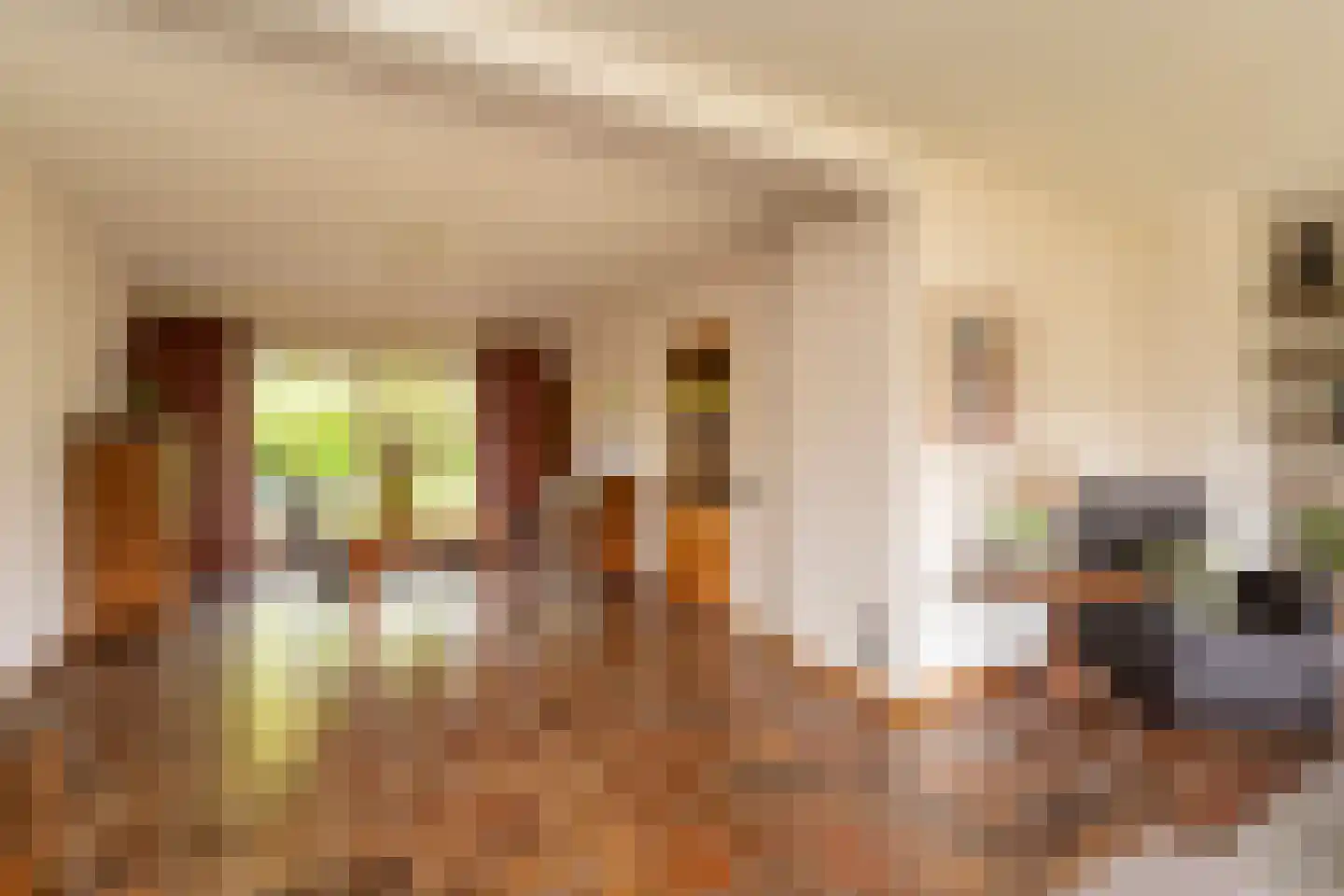 Aa of Weerijs 104 Tilburg thumbnail 10