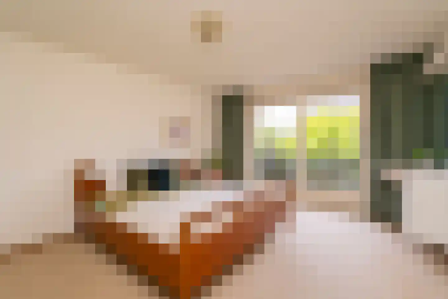 Aa of Weerijs 104 Tilburg thumbnail 20