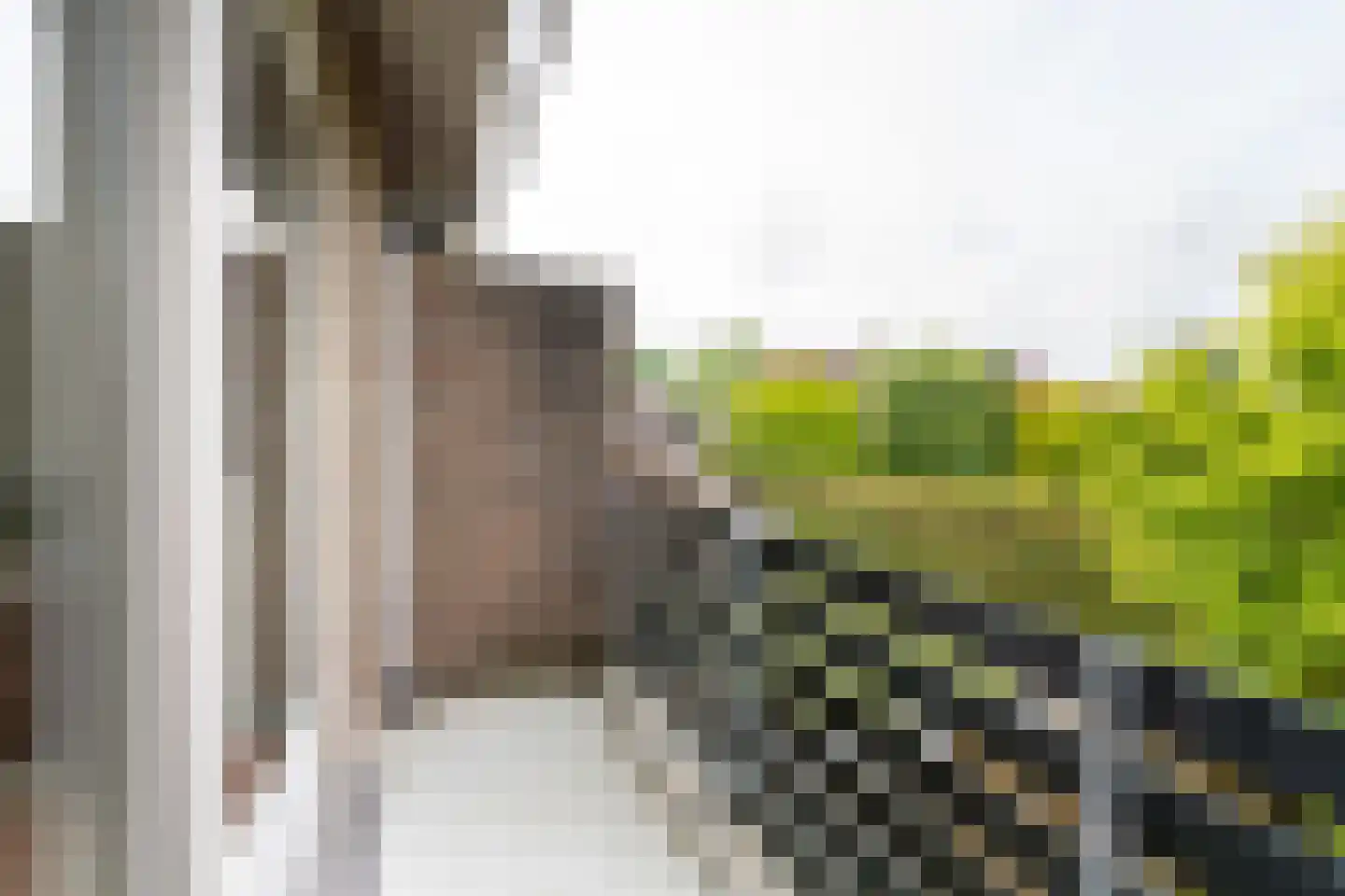 Aa of Weerijs 104 Tilburg thumbnail 23