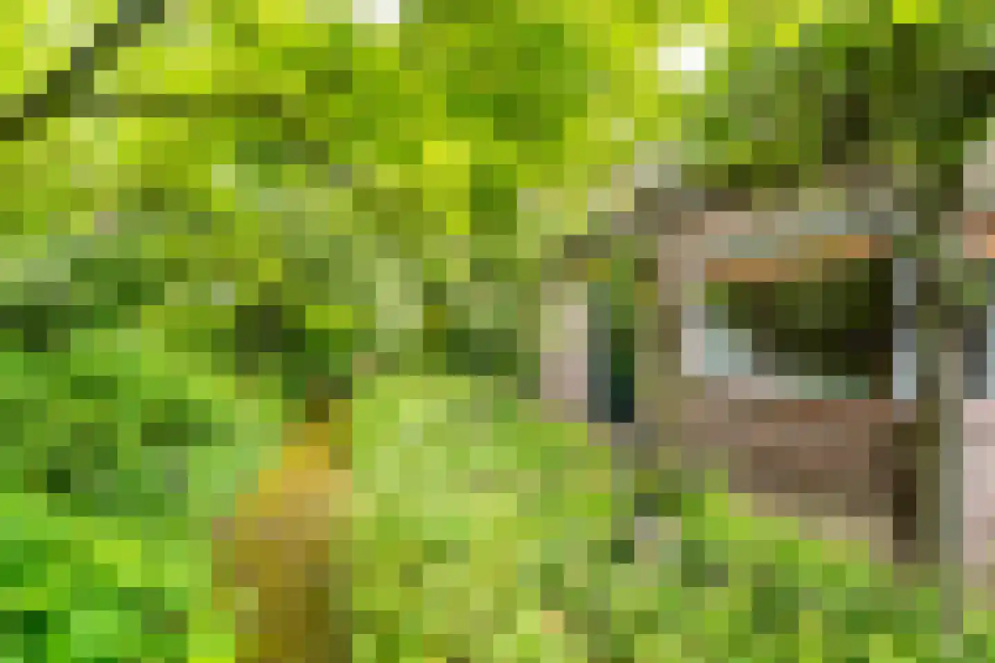 Aa of Weerijs 104 Tilburg thumbnail 43