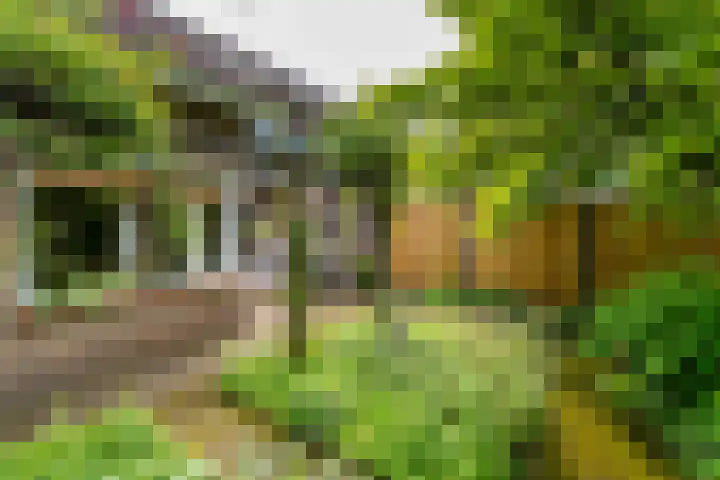Aa of Weerijs 104 Tilburg thumbnail 44