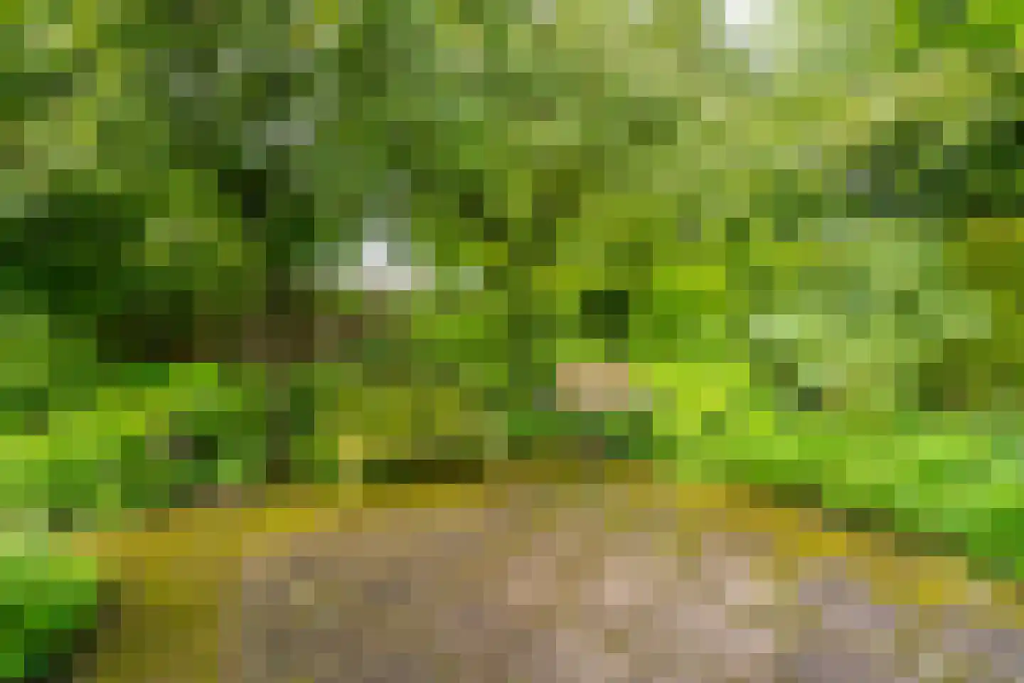 Aa of Weerijs 104 Tilburg thumbnail 46