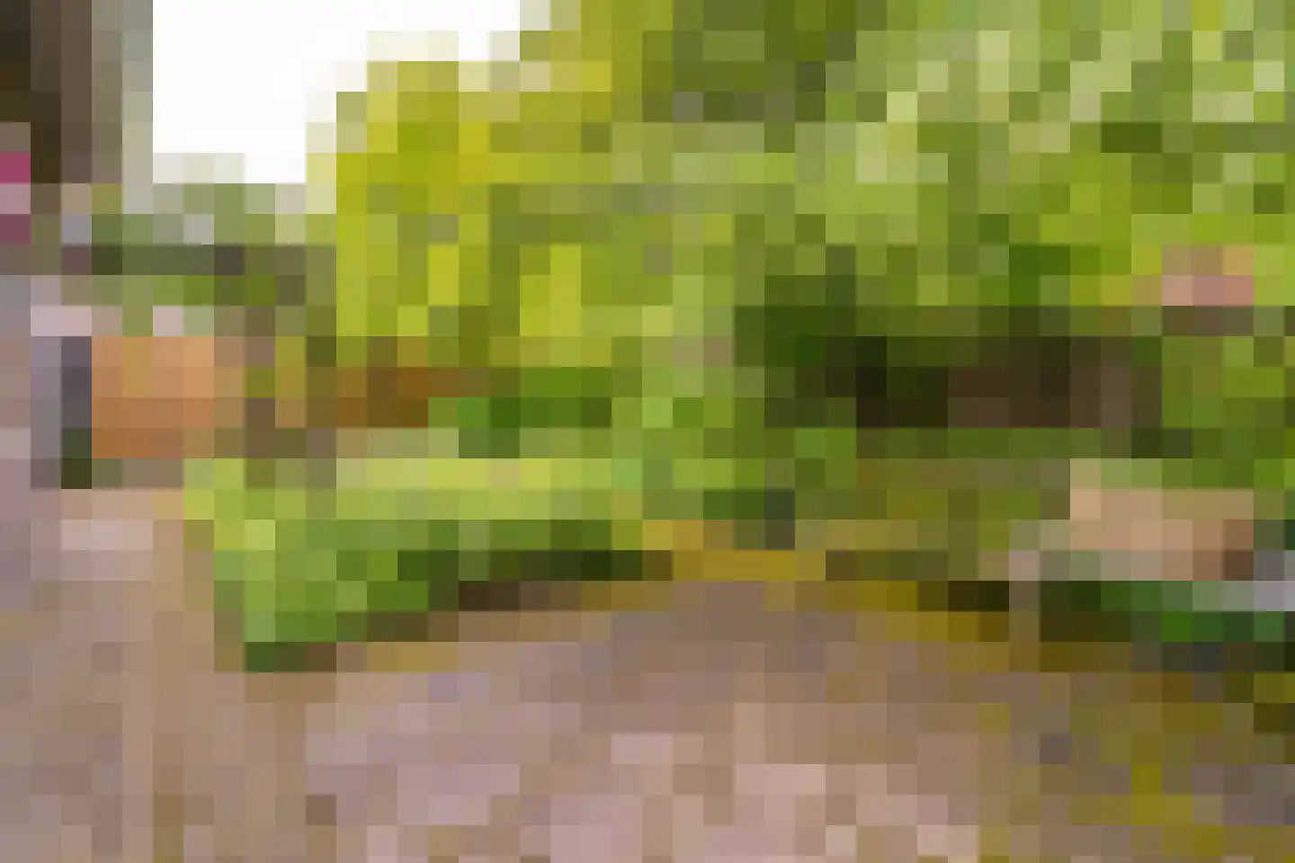 Aa of Weerijs 104 Tilburg thumbnail 47