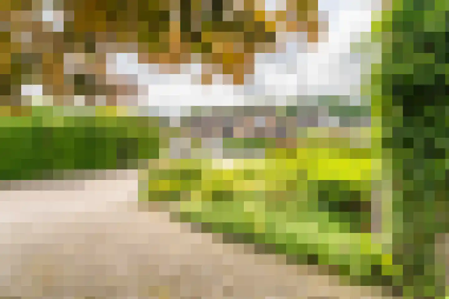 Aa of Weerijs 104 Tilburg thumbnail 49