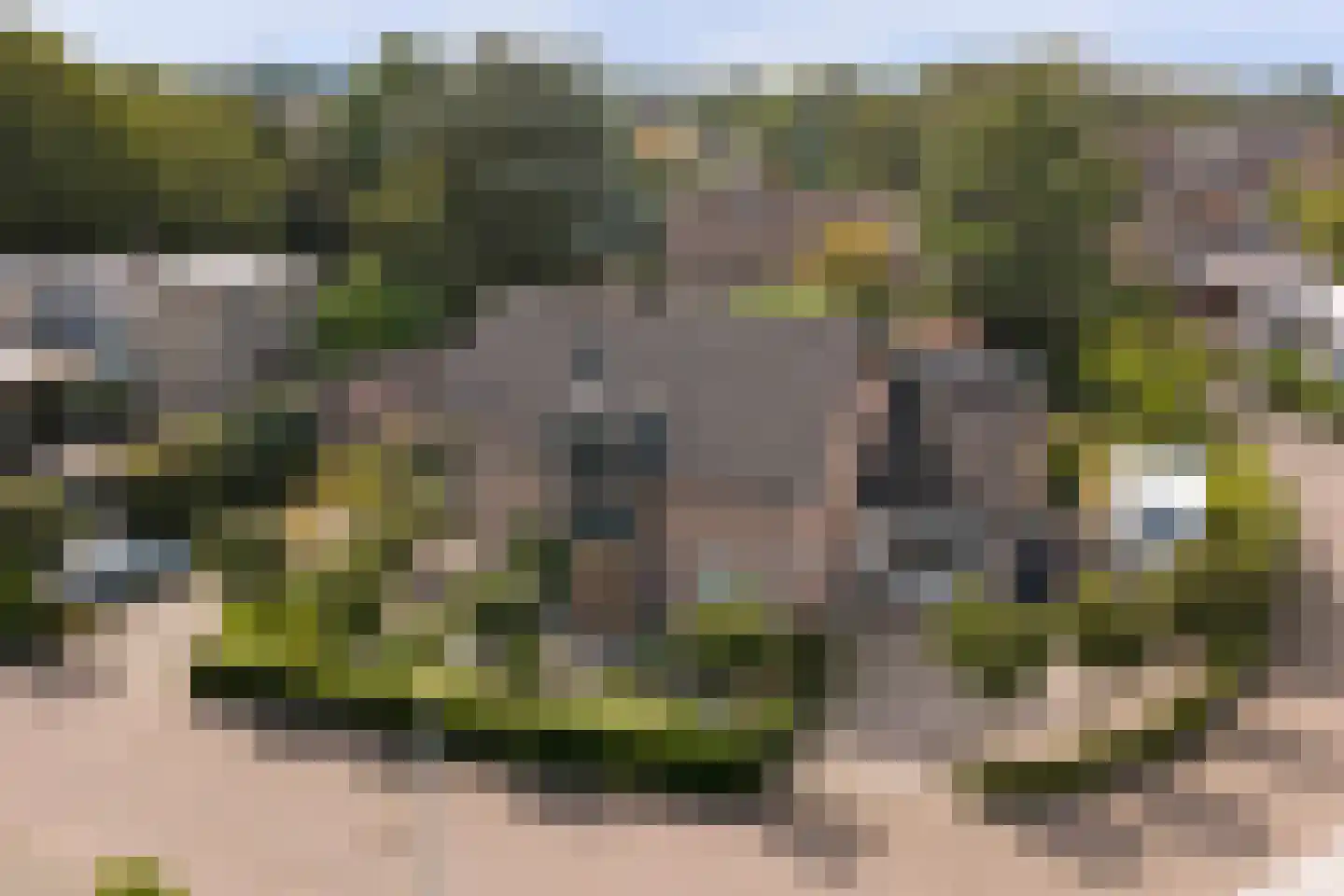 Aa of Weerijs 108 Tilburg thumbnail 36