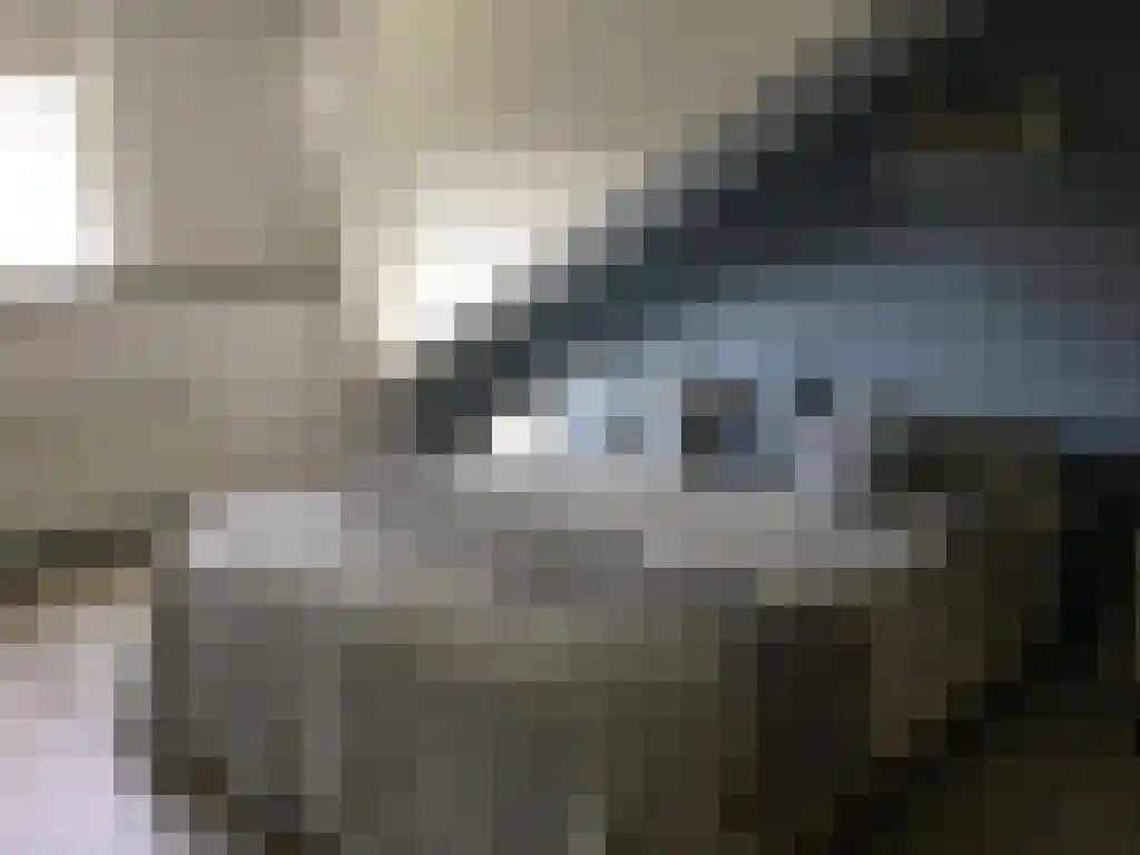 Aa of Weerijs 108 Tilburg thumbnail 47