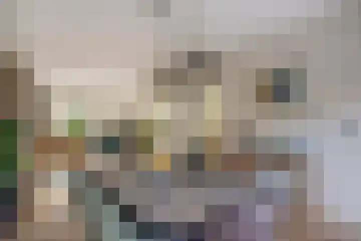 Aa of Weerijs 19 Tilburg thumbnail 14