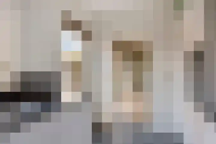 Aa of Weerijs 19 Tilburg thumbnail 17