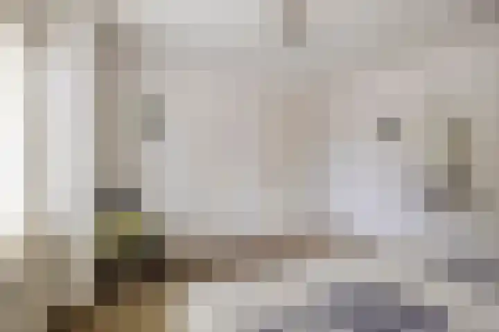 Aa of Weerijs 19 Tilburg thumbnail 28